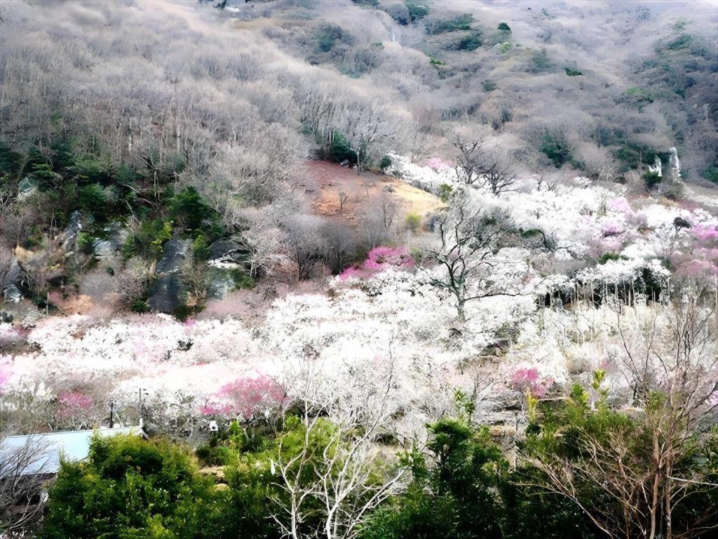 Corredor Yugawara Dog＆Resort Atami  Buitenkant foto